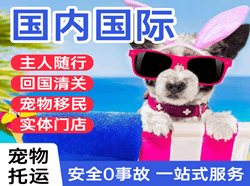 兴凯湖空运公司国际宠物托运 【国